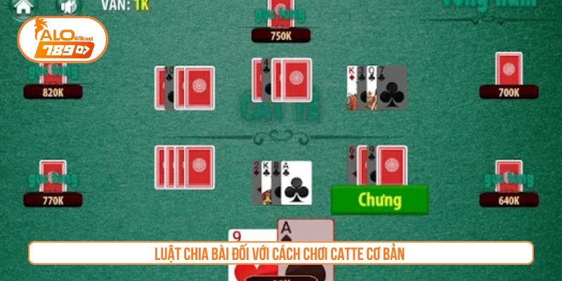 Luật chia bài đối với cách chơi Catte cơ bản 