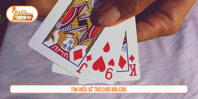 Tìm hiểu bài cào