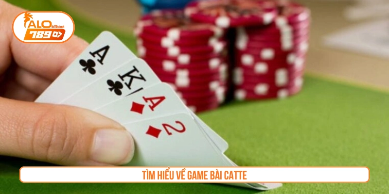 Tìm hiểu về game bài Catte 