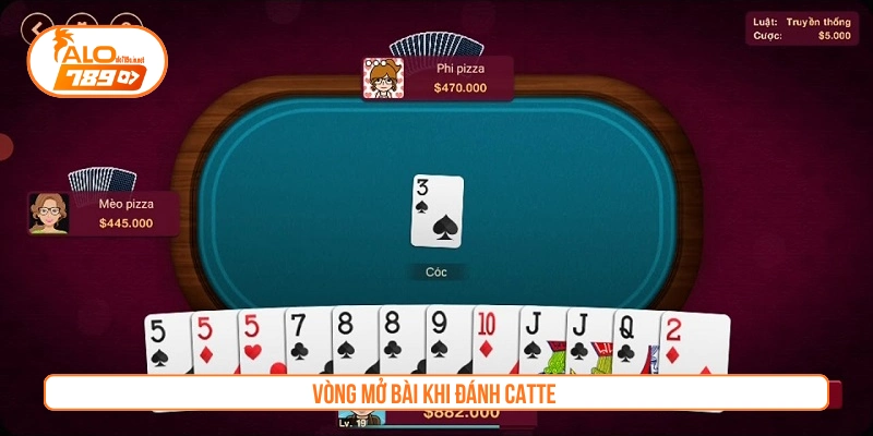 Vòng mở bài khi đánh Catte 