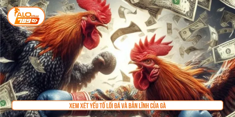 Xem xét yếu tố lối đá và bản lĩnh của gà