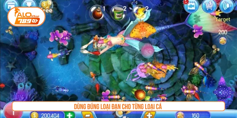 Dùng đúng loại đạn cho từng loại cá 